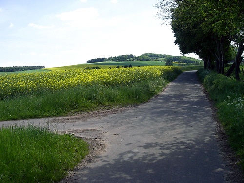 Durch die Mechernischer Eifel