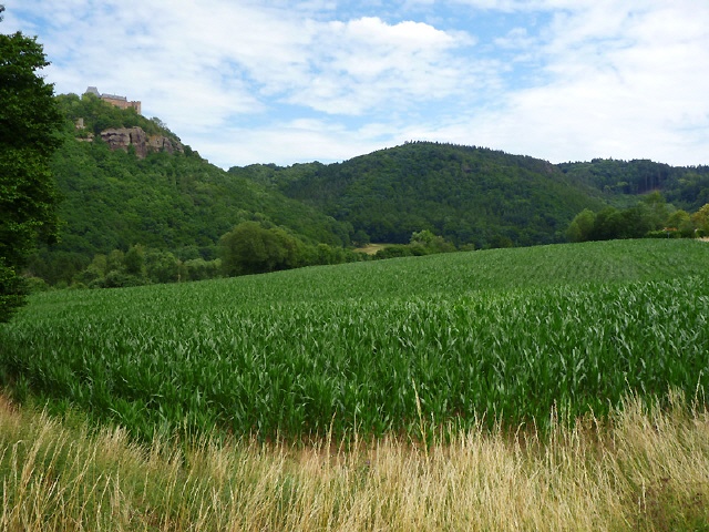 Ausblick gleich hinter der Ortschaft "Brück"